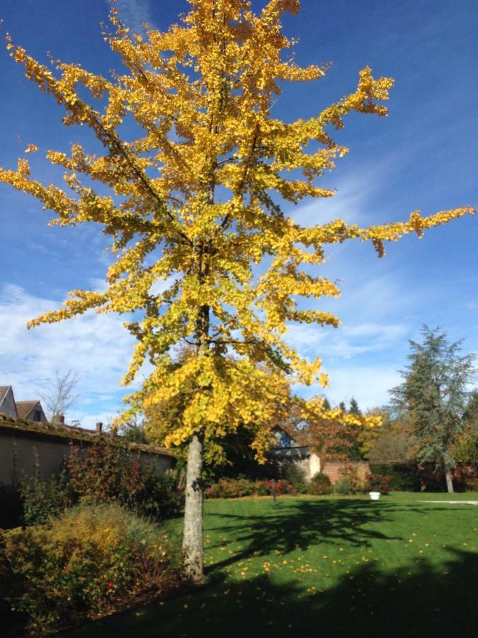 Les Couleurs Du Verger Beaumont-les-Autels Eksteriør bilde