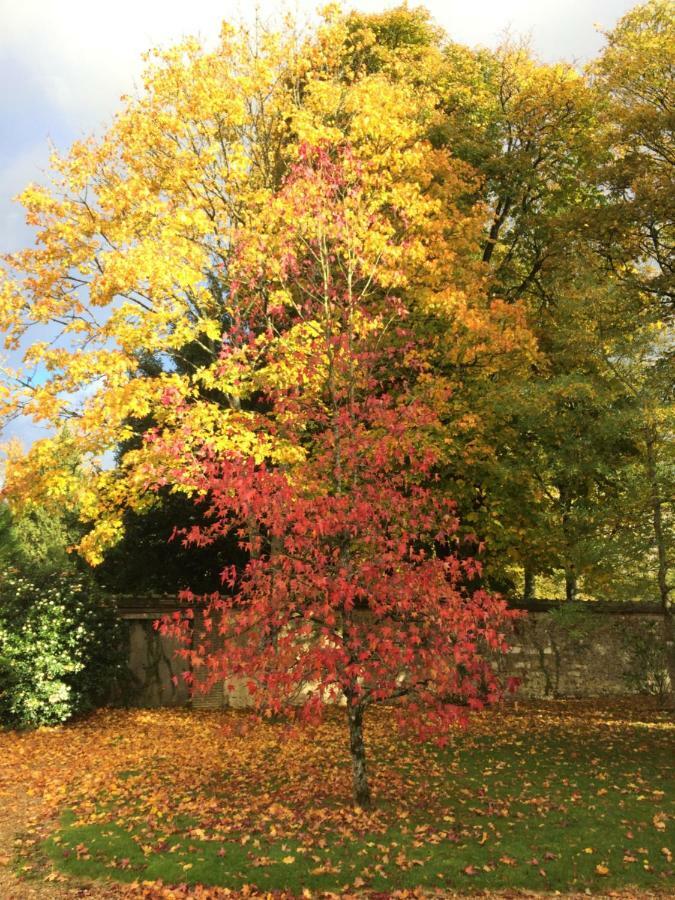 Les Couleurs Du Verger Beaumont-les-Autels Eksteriør bilde